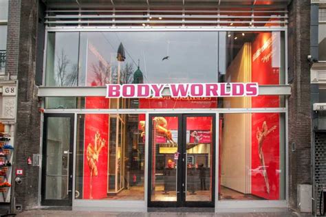 Body Worlds Amsterdam Ticket Voor The Happiness Project Getyourguide