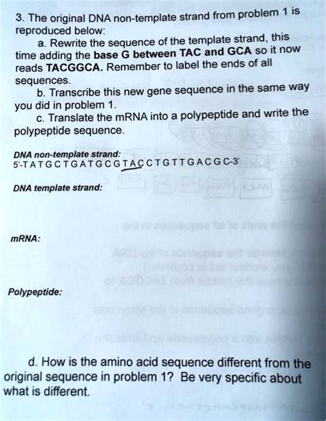 SOLVED 3 The Original DNA Non Template Strand From Problem 1 Is