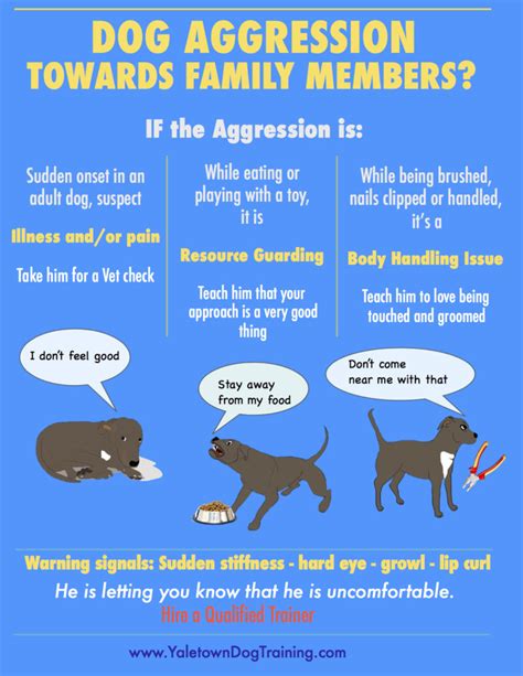 Reasons Why Dogs Get Aggressive And How To Stop It Atelier Yuwaciaojp