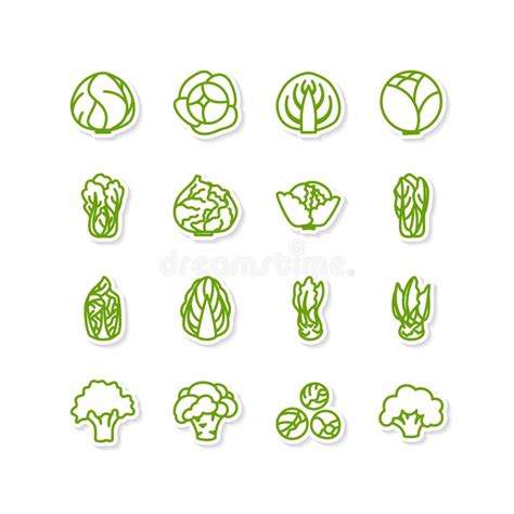 Leafy Vegetables Stock Vector Illustration Of Design 57591862