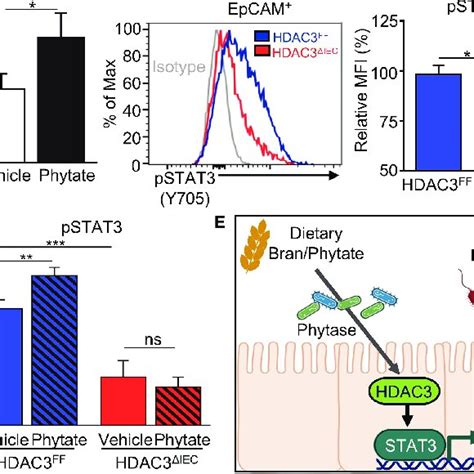 Phytate Mediated Epithelial Stat Activation Requires Hdac A