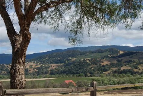 Santa Barbara Wine Country California Winery Advisor