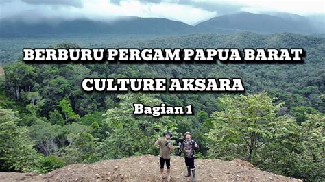 Berburu Pergam Kumkum Papua Barat Explore Alam Papua Sungguh Indah