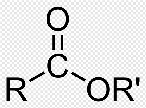 Ester Organic Compound Carboxylic Acid Ster Carb Nico Fatty Acid