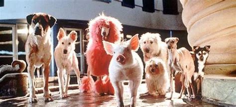 Películas infantiles Babe el cerdito valiente