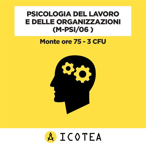 Psicologia Del Lavoro E Delle Organizzazioni M Psi Cfu Icotea