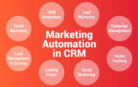 CRM Y Marketing Automation Integrar Estrategias MDirector