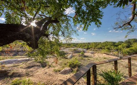 Dulini Leadwood Lodge Sabi Sand Game Reserve Kruger National Park