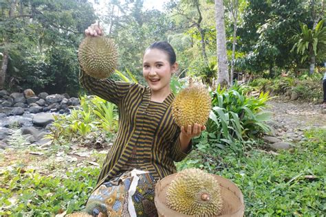 Agrowisata Hutan Durian Trenggalek Masuk Nominasi ADWI 2023 ANTARA News