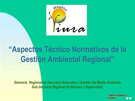 Ppt Aspectos T Cnico Normativos De La Gesti N Ambiental Regional