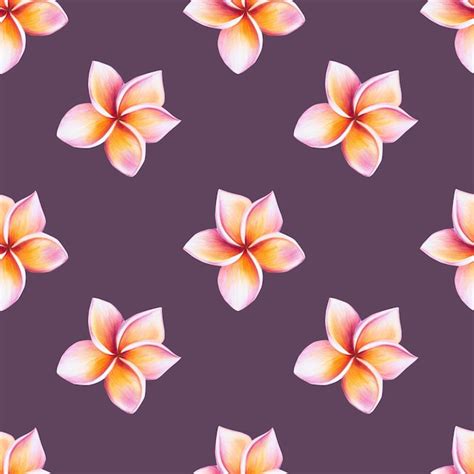 Page 4 23000 Orchid Geometry Pattern Pictures