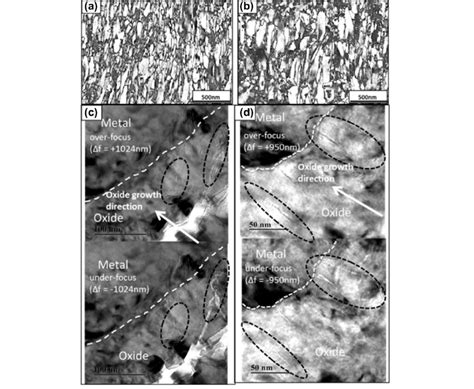 Monoclinic Orientation Reliability Maps From Columnar Grain Region Of