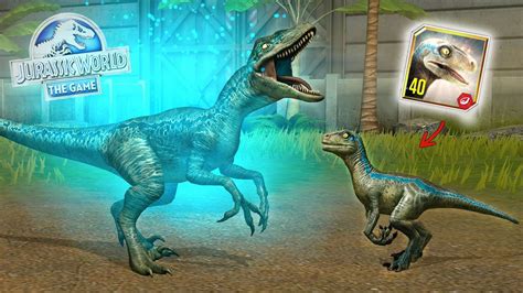 Por Fin Familia Velociraptor Beta Nivel M Ximo Blue Y Nuevo Dinosaurio