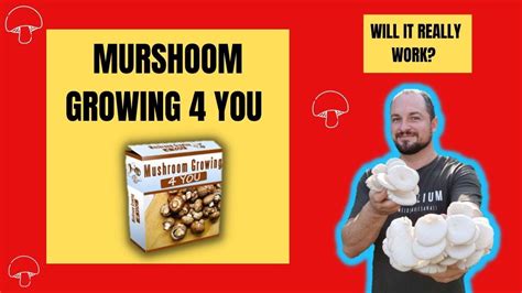 How To Grow Mushrooms Mushroom Growing 4 You Is Good Review Youtube