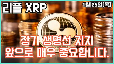 리플 Xrp 장기 생명선 지지 앞으로 매우 중요합니다 Youtube