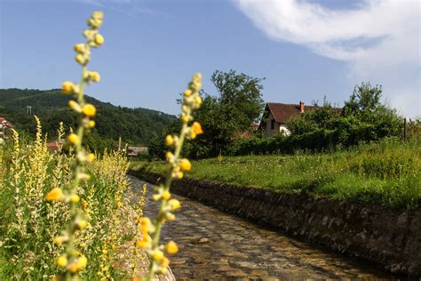 Bajina Bašta Photos - Tripcarta