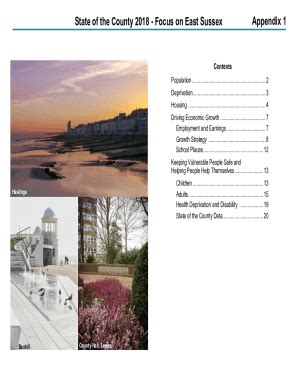 Fillable Online Democracy Eastsussex Gov State Of The County Focus
