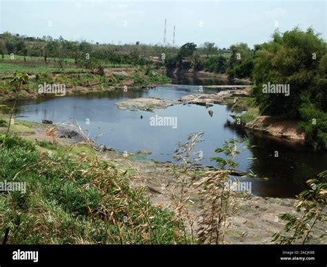 Bengawan Solo river. This section of the Solo river in Trinil, Java, Indonesia, was the site ...