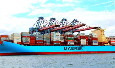 Maersk y MSC descontinuarán la alianza 2M en 2025 Empresa de