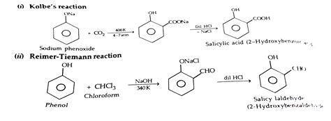 Explain The Following With An Exampe In Each I Kolbe S Reacti