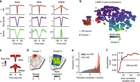 Variability And Clustering Of Spike Auto Correlograms In The At A