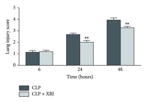 Xuebijing XBJ Inhibits Inflammation In The Injured Lung A