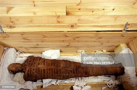 4503 Egyptian Mummies Stock Photos High Res Pictures And Images