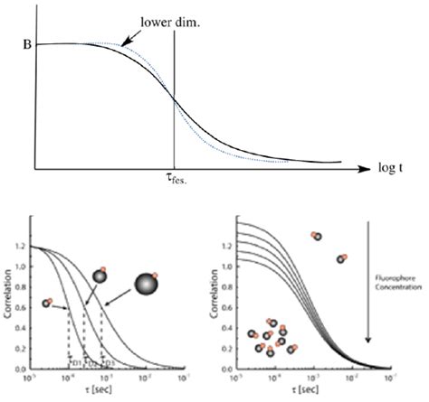 113 Fluorescence Correlation Spectroscopy Chemistry Libretexts