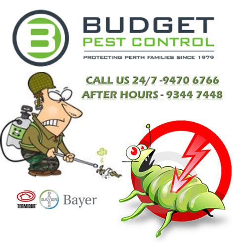 3 Best Pest Control Companies In Perth Top Pest Control Companies