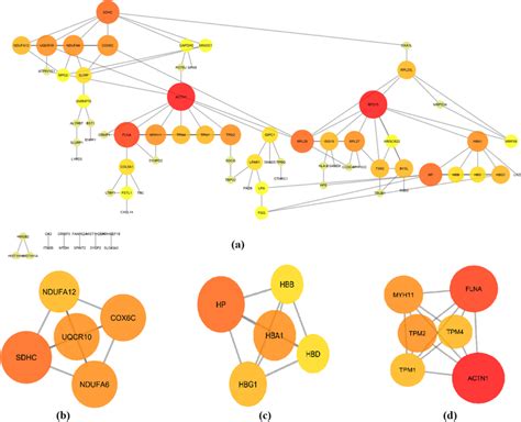 Ppi Networks Of Proteins And Module Analysis A Three Parts Of Ppi