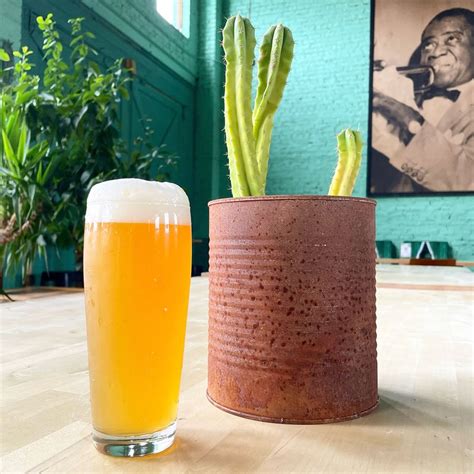 Beers — Golden Cactus Brewing Tasty Brews In Roanoke Va 🍻