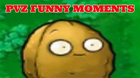 Plants Vs Zombies Funny Moment Walnut Plot Twist Troll Pvz Plus Youtube