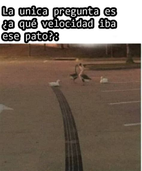 Pato Drift Meme Subido Por Cj117 Memedroid