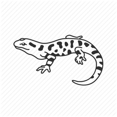 Vertebrate Lizard Reptile White Scaled Reptile Gecko True Salamanders