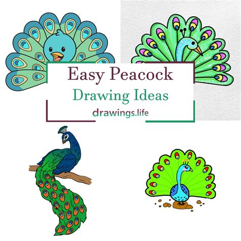 15 Colorful Peacock Drawing Ideas - Drawings