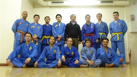 Accueil Tamvodao Net Vovinam Vi T Vo Dao Paris