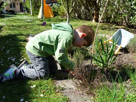 J ai descendu dans mon jardin Nature en ville à Cergy Pontoise