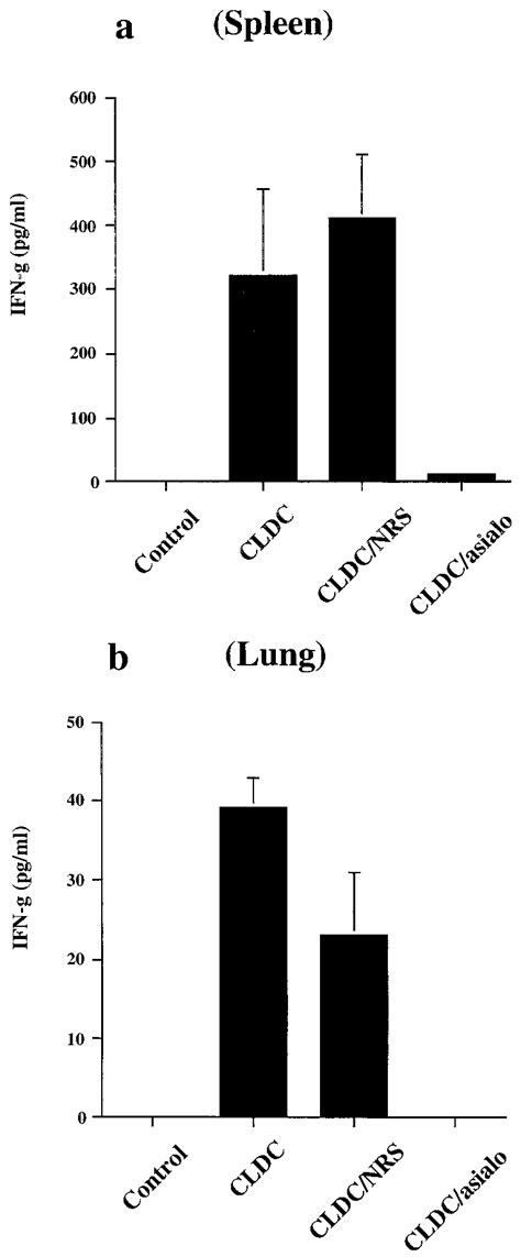 Effect Of In Vivo NK Cell Depletion On CLDC Induced IFN Release Mice