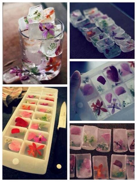 Cubos De Hielo Con Flores Flower Ice Cubes Flower Ice Floral Ice Cubes