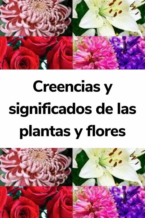 Creencias Y Significados De Las Plantas Y Flores La Jardinoteca