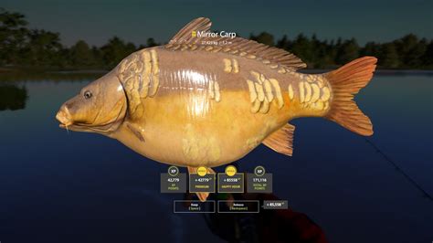 Russian Fishing Active Spot In Amber Lake Mirror Carp Trophy