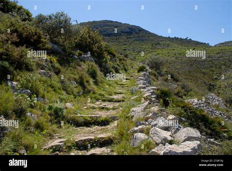 Historic Mozarabic Mule Trail In The Vall De Laguart Alicante Province