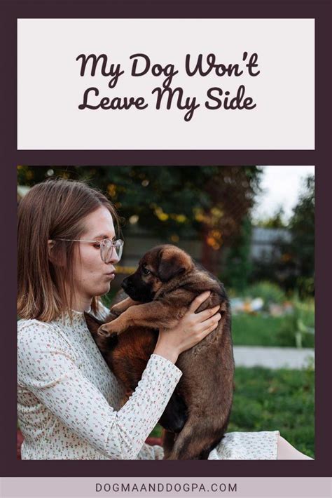 My Dog Wont Leave My Side Dogma And Dogpa