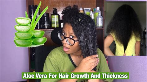 Diy Aloe Vera Mask Pre Poo For Crazy Hair Growth Youtube