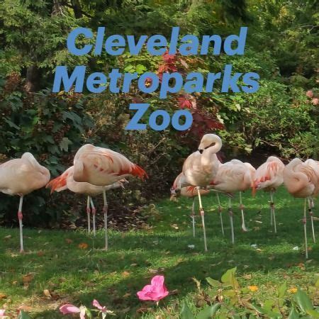 Cleveland Metroparks Zoo | Cleveland metroparks, Great american road ...