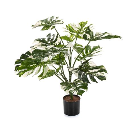 Philodendron Philo Kunstplant 85 Cm Green Bubble