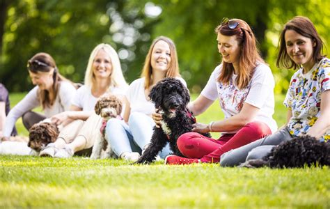 MenschHundTraining Vanessa Engelstädter Hundeschule