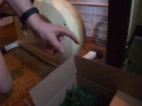 Slave J1306 Cycling With Nettles Under Pain Gay Man Porn XHamster