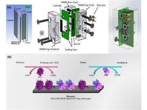 A Scheme Of The Microfluidic Fuel Cell And Components Using A Pt C