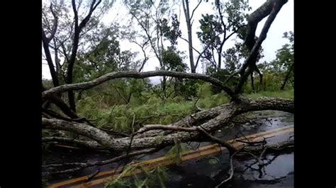 V Deo Temporal Faz Rvore Cair E Estrada Fica Bloqueada Entre Cuiab E